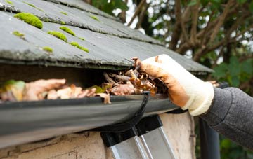 gutter cleaning Bisley